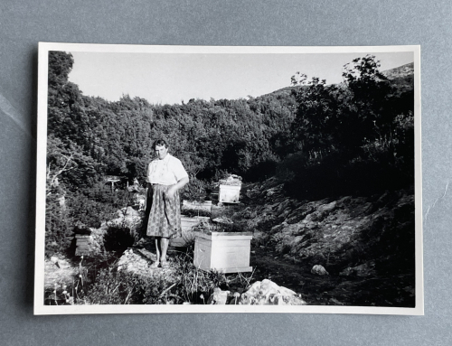 ‘Olive Brittan – Beekeeper to the King of Libya’ by Xuejiao Huang